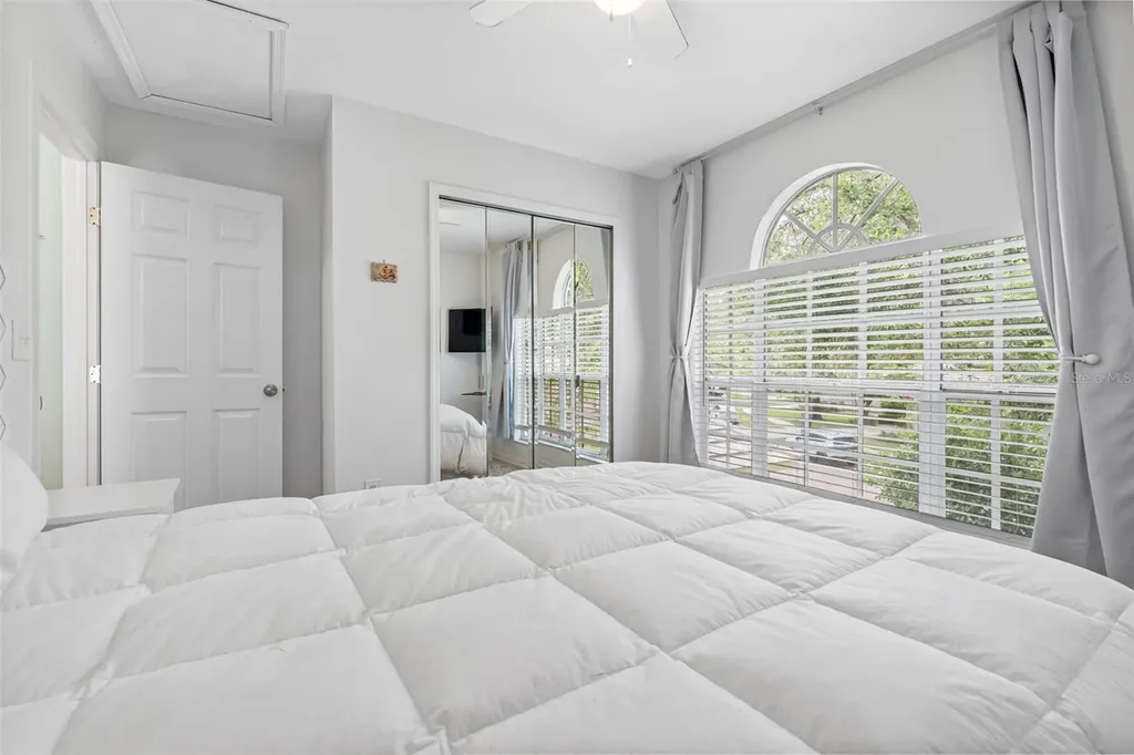17648 Nathans Drive Tampa FL 33647