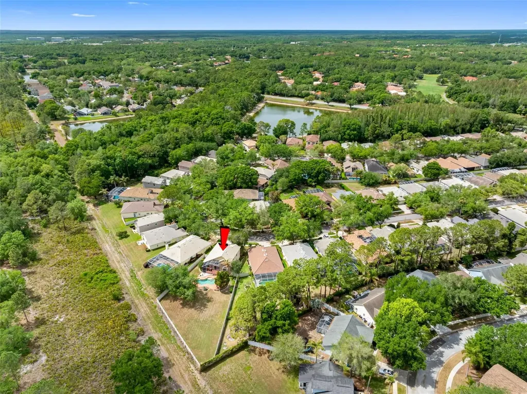 17648 Nathans Drive Tampa FL 33647