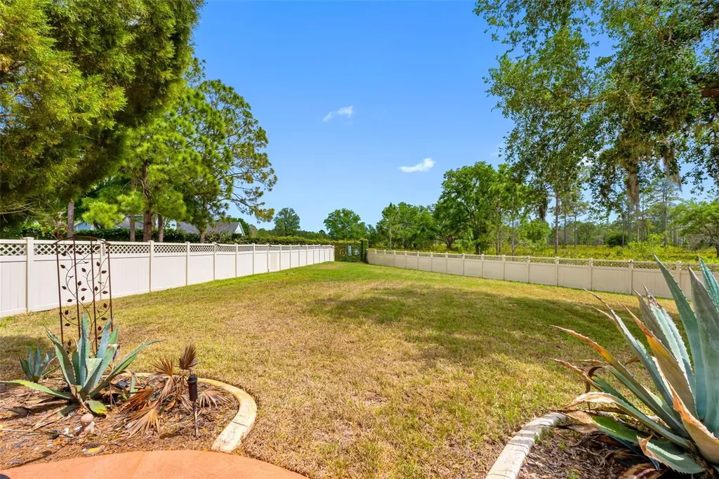 17648 Nathans Drive Tampa FL 33647