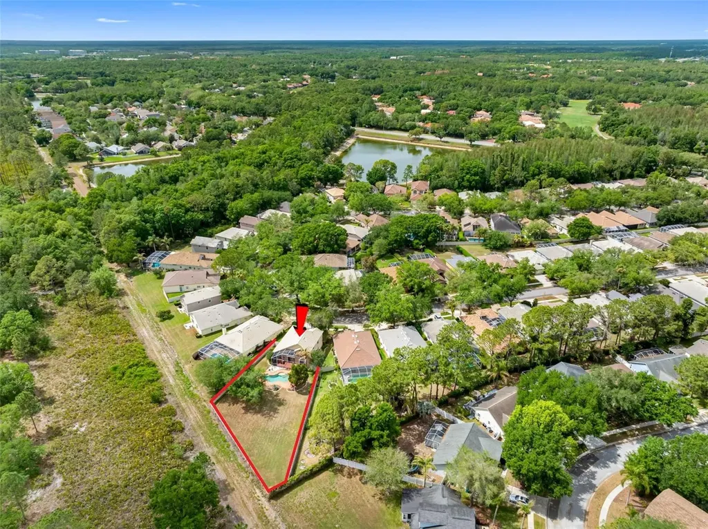 17648 Nathans Drive Tampa FL 33647