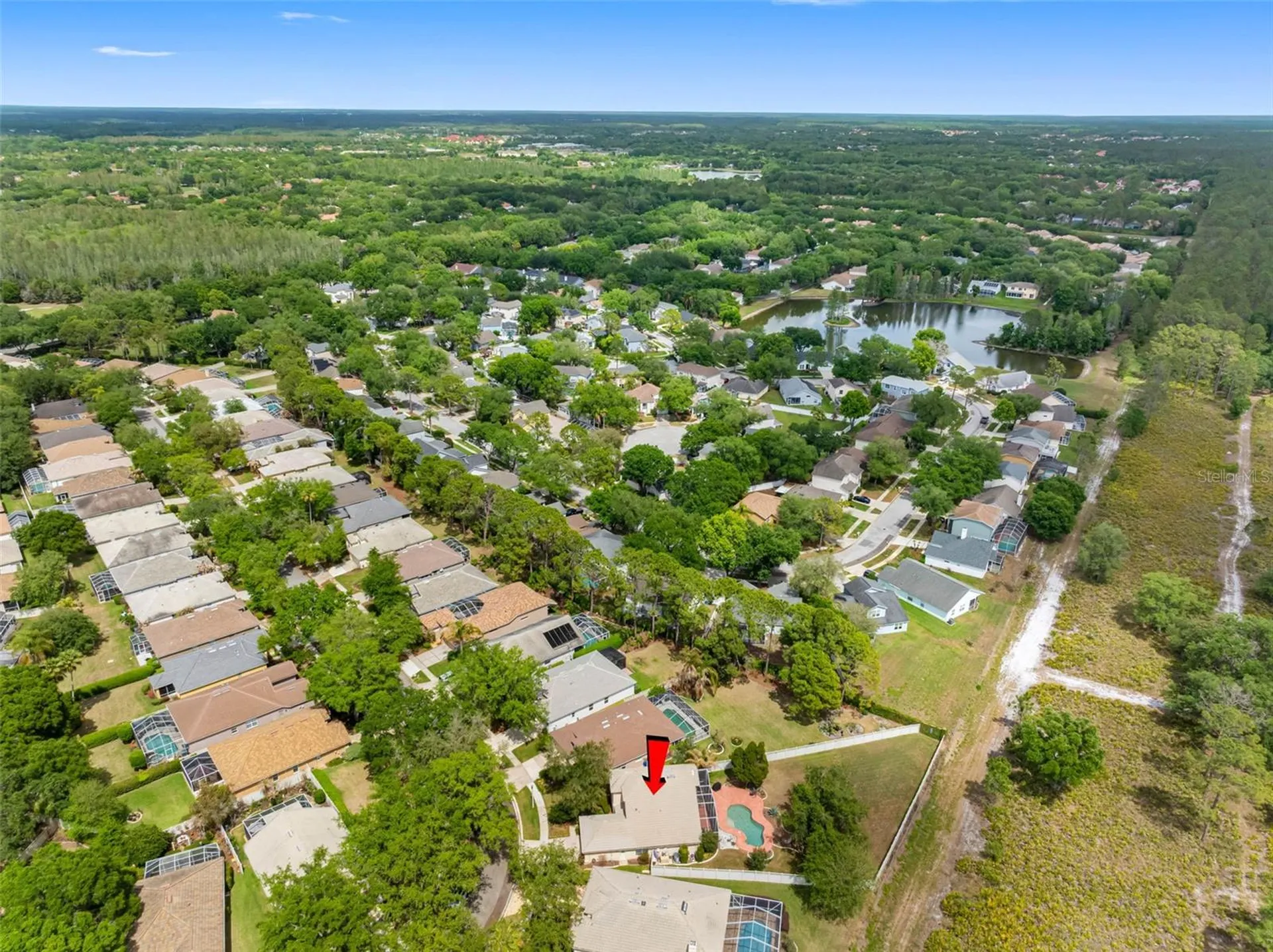 17648 Nathans Drive Tampa FL 33647