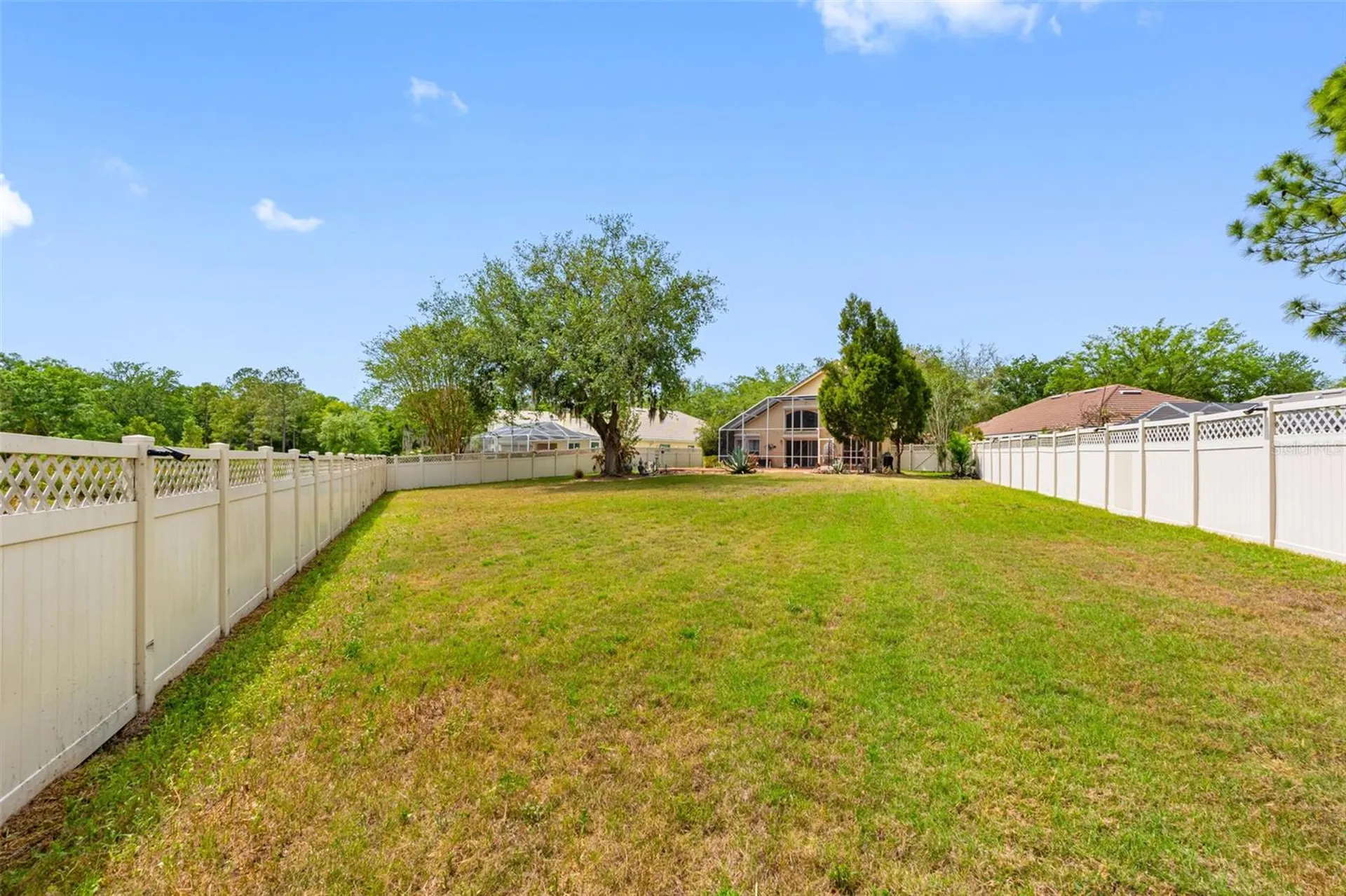 17648 Nathans Drive Tampa FL 33647