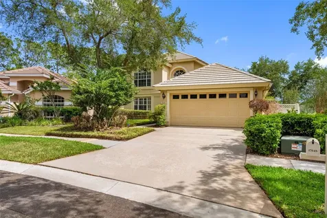 17648 Nathans Drive Tampa FL 33647