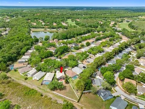 17648 Nathans Drive Tampa FL 33647