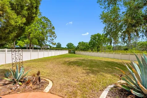 17648 Nathans Drive Tampa FL 33647