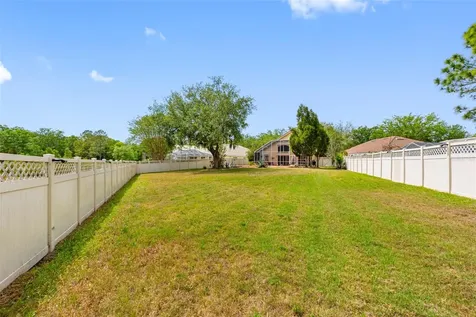 17648 Nathans Drive Tampa FL 33647
