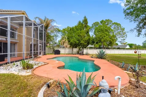 17648 Nathans Drive Tampa FL 33647