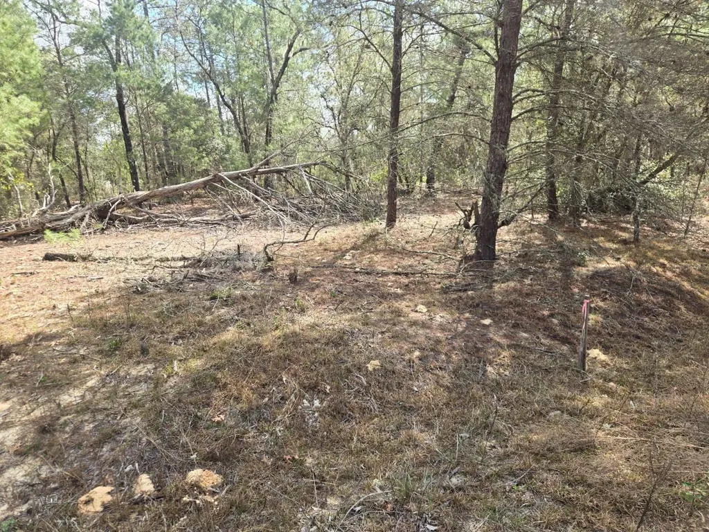 206 Wales Street Interlachen FL 32148