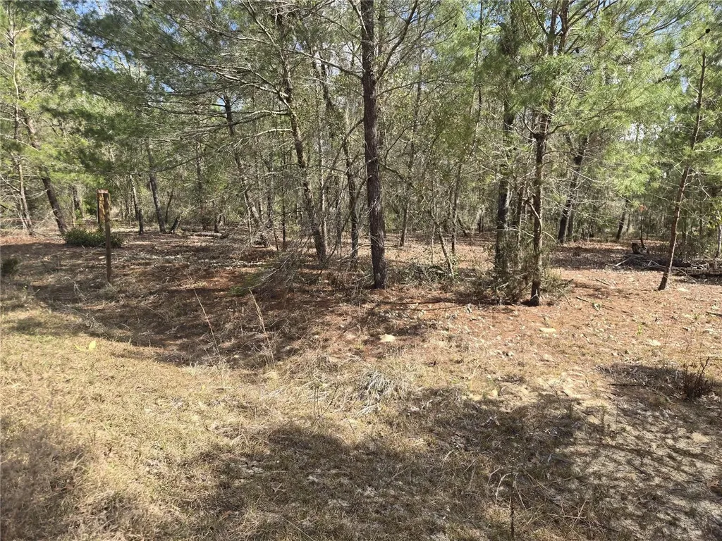 206 Wales Street Interlachen FL 32148