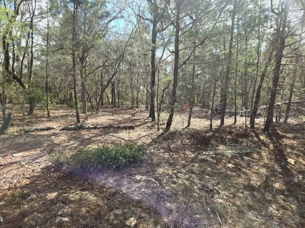 206 Wales Street Interlachen FL 32148