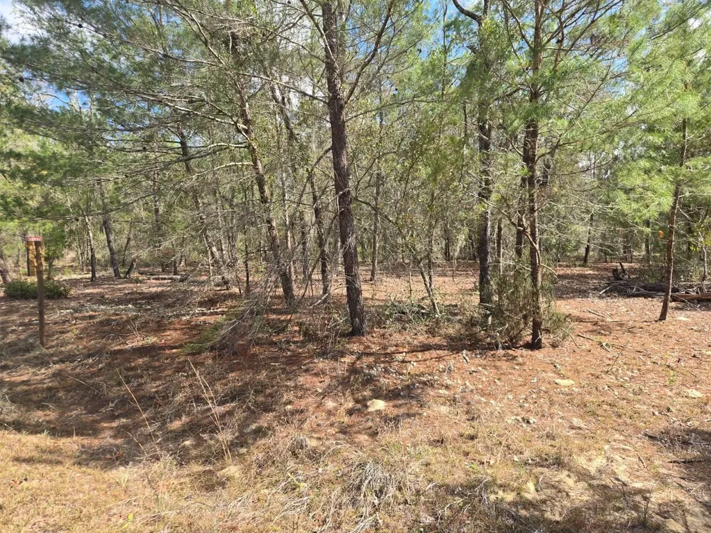 206 Wales Street Interlachen FL 32148