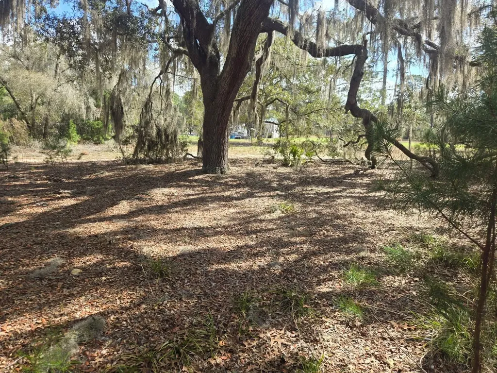 206 Wales Street Interlachen FL 32148