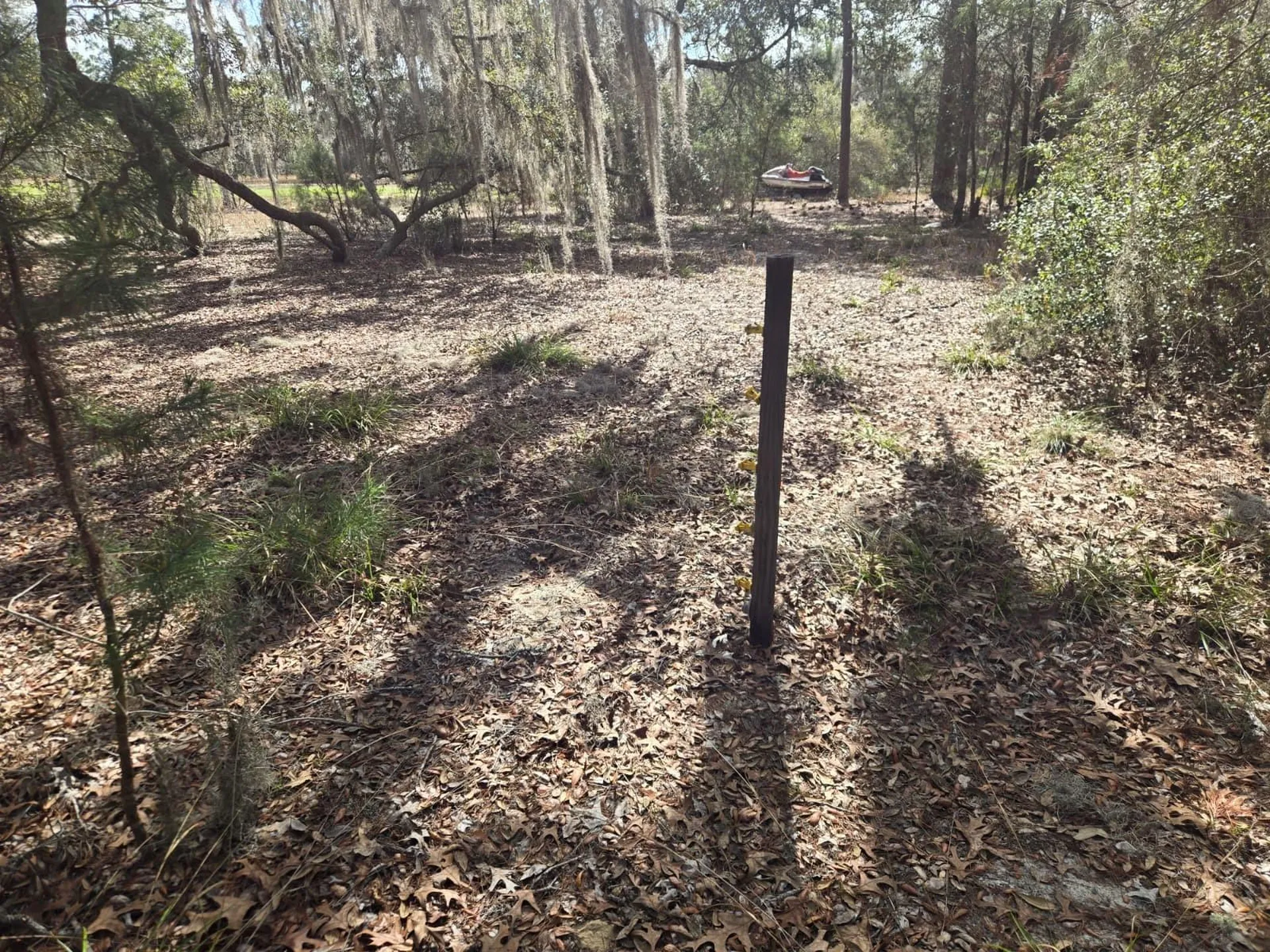 206 Wales Street Interlachen FL 32148