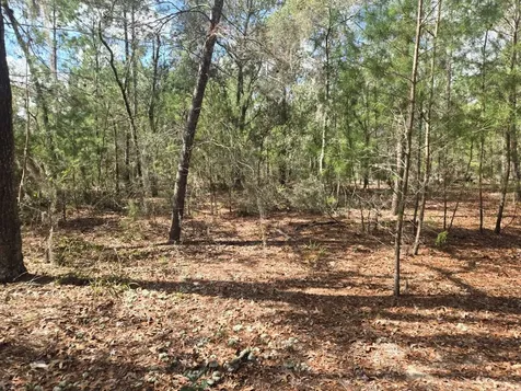 206 Wales Street Interlachen FL 32148