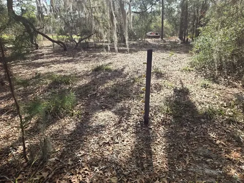 206 Wales Street Interlachen FL 32148