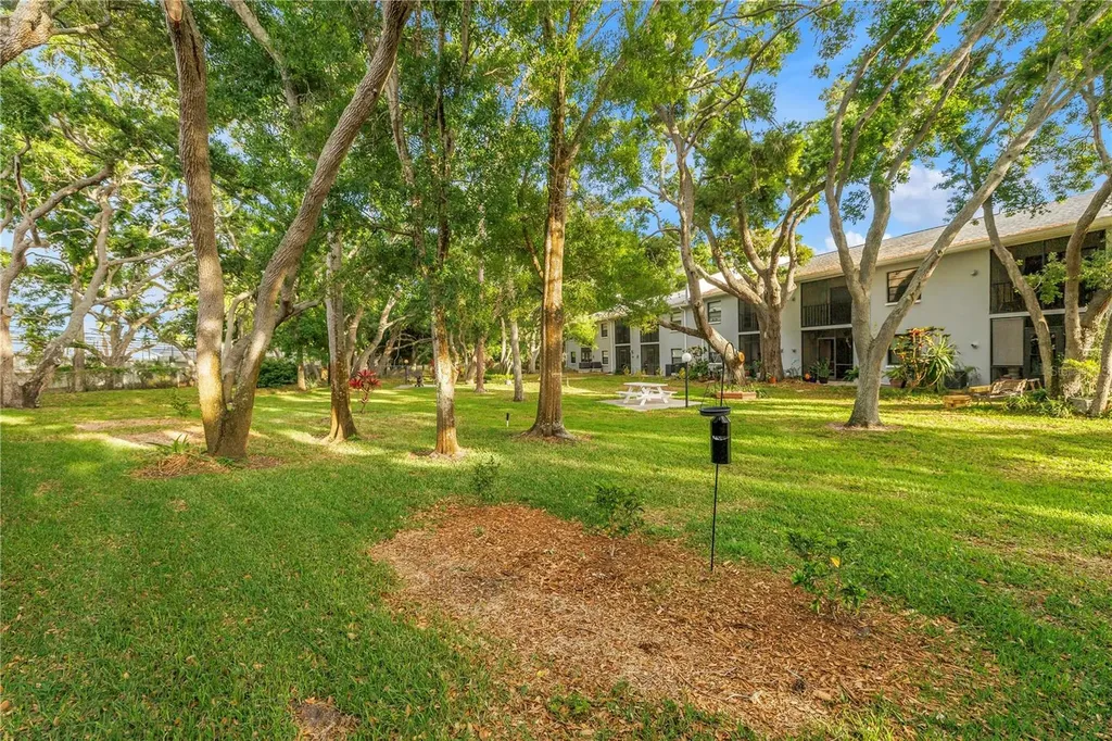 11800 Park Boulevard Seminole FL 33772
