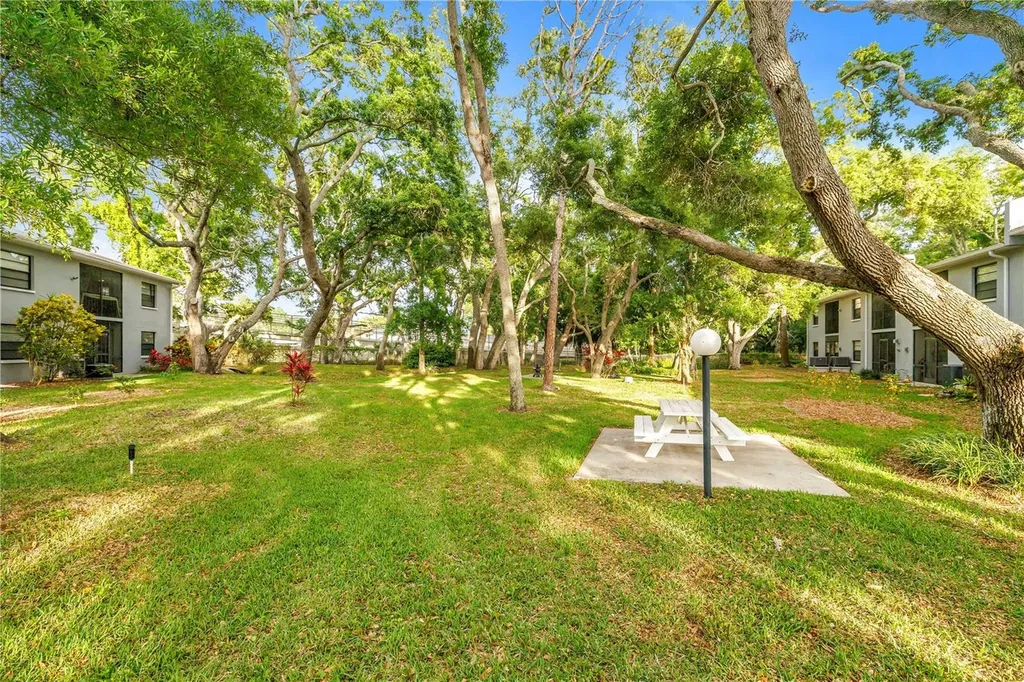11800 Park Boulevard Seminole FL 33772