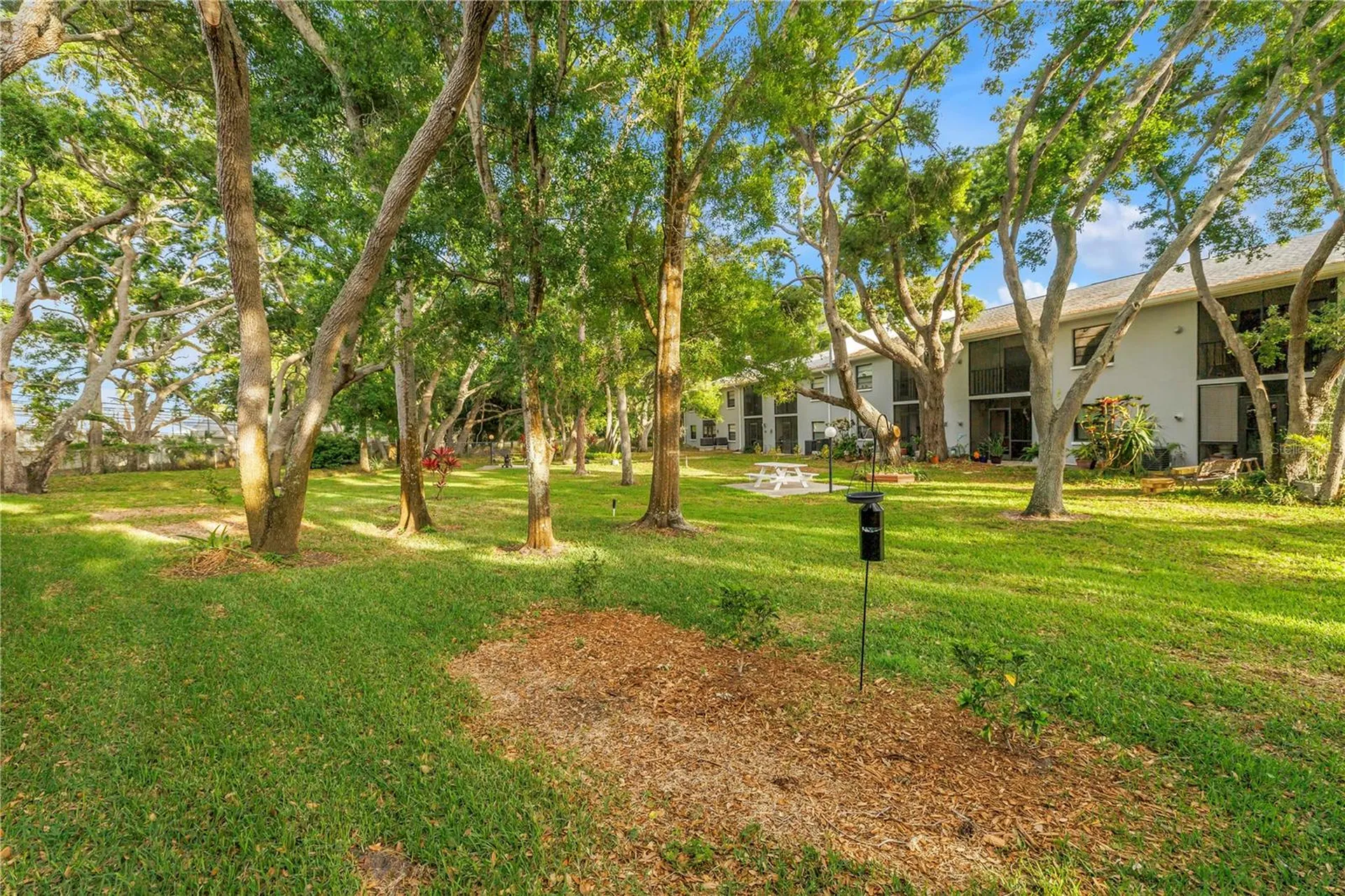 11800 Park Boulevard Seminole FL 33772