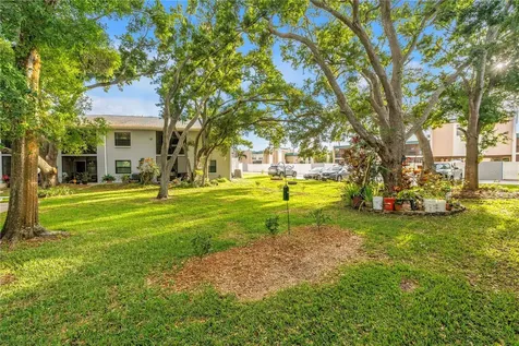 11800 Park Boulevard Seminole FL 33772