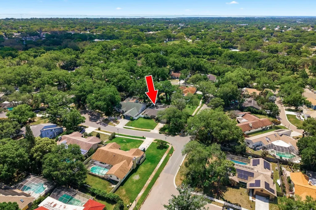 1736 Pine Hill Court Safety Harbor FL 34695