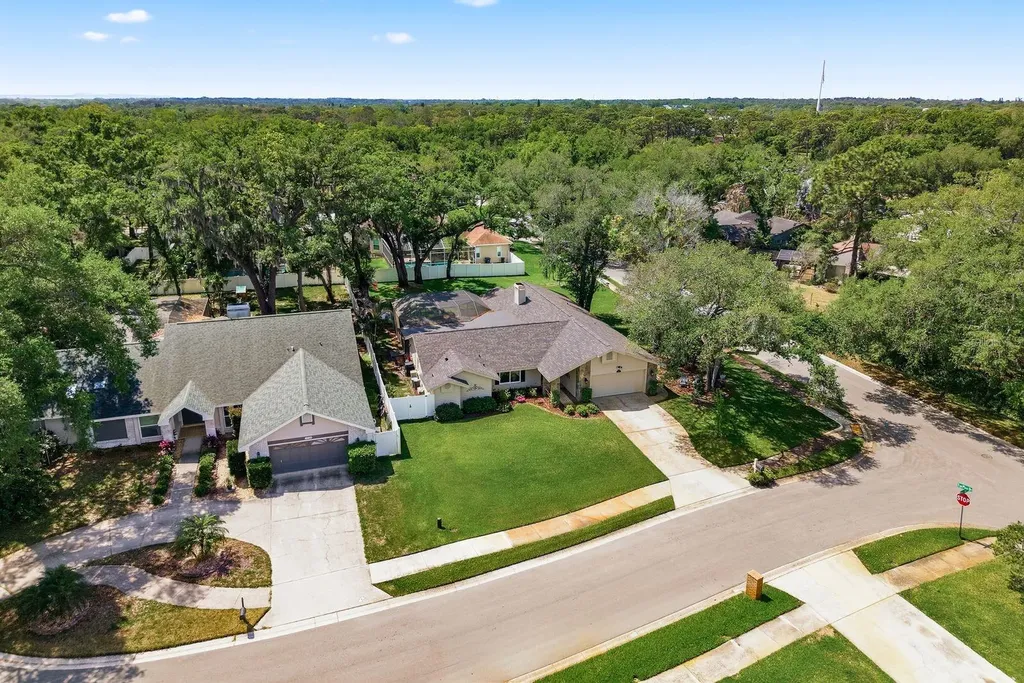 1736 Pine Hill Court Safety Harbor FL 34695