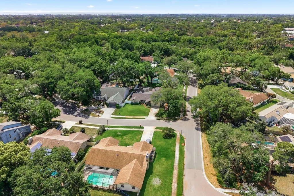 1736 Pine Hill Court Safety Harbor FL 34695