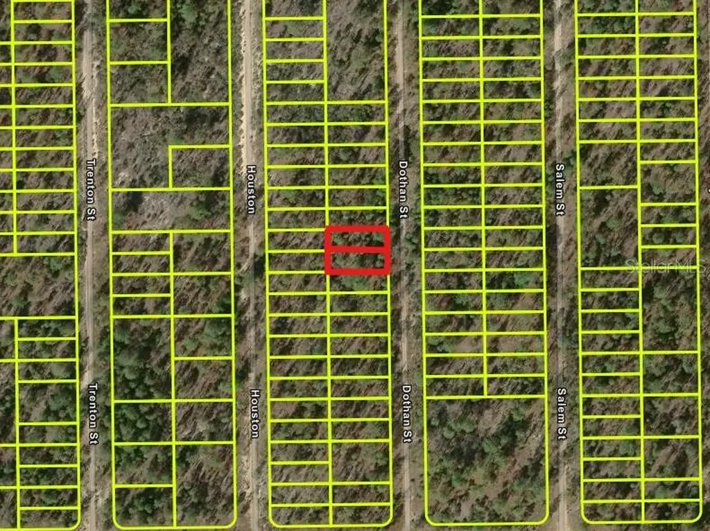 427 Dothan Street Interlachen FL 32148