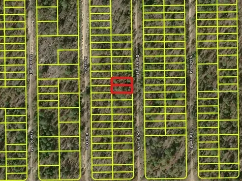 427 Dothan Street Interlachen FL 32148