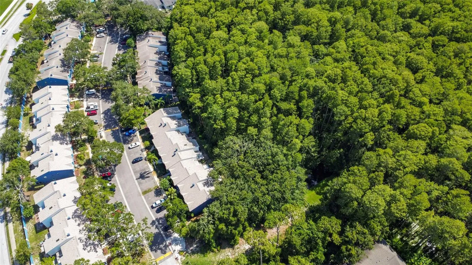 3350 Fox Hunt Drive Palm Harbor FL 34683