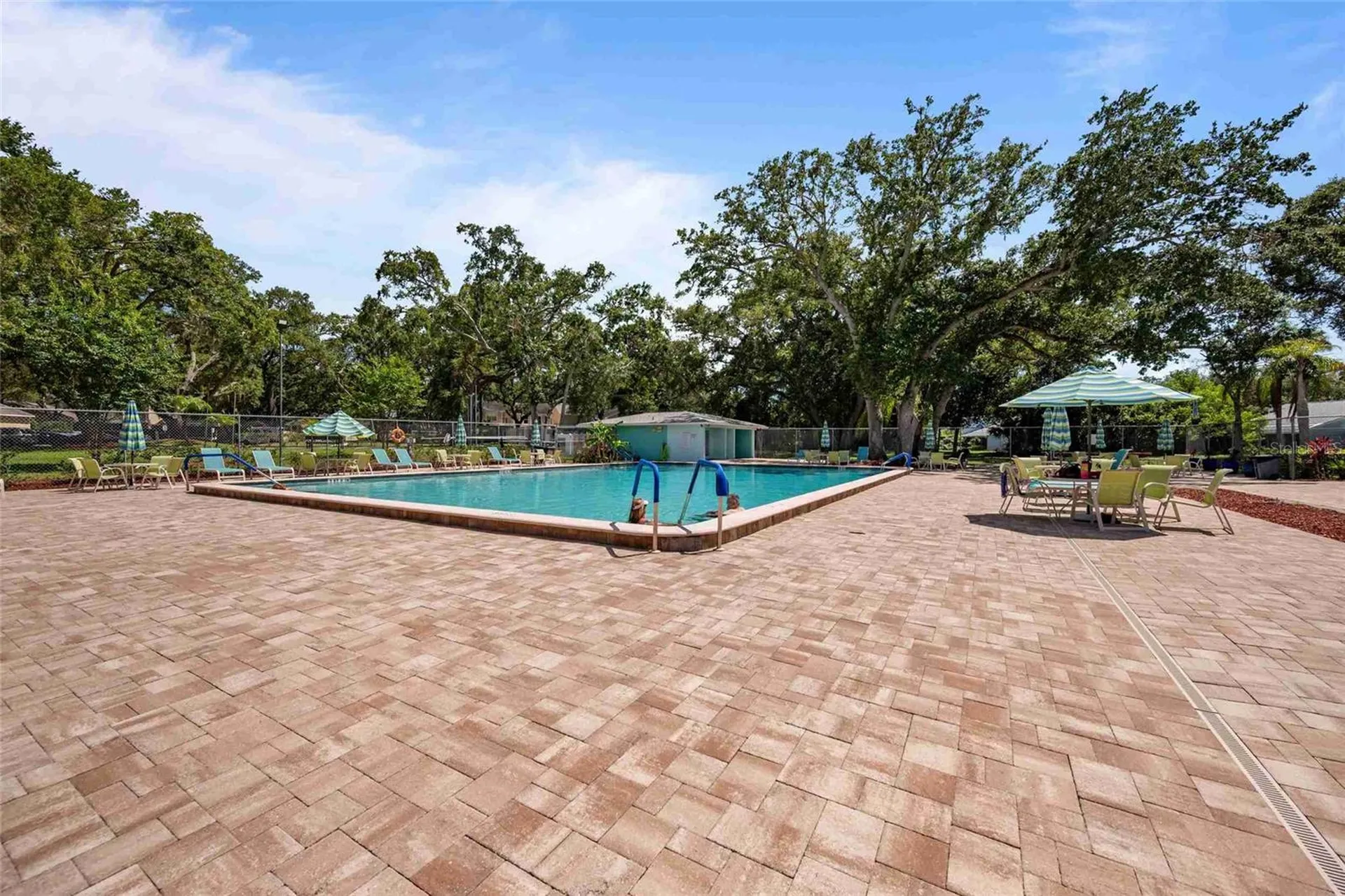3350 Fox Hunt Drive Palm Harbor FL 34683