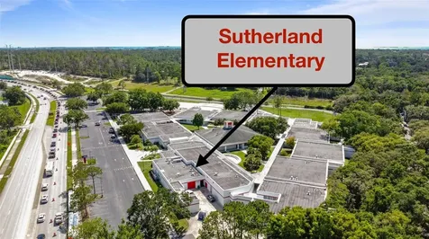 3350 Fox Hunt Drive Palm Harbor FL 34683