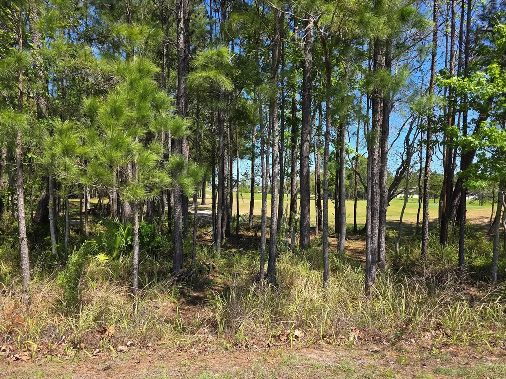 5058 Diantha Way Brooksville FL 34604