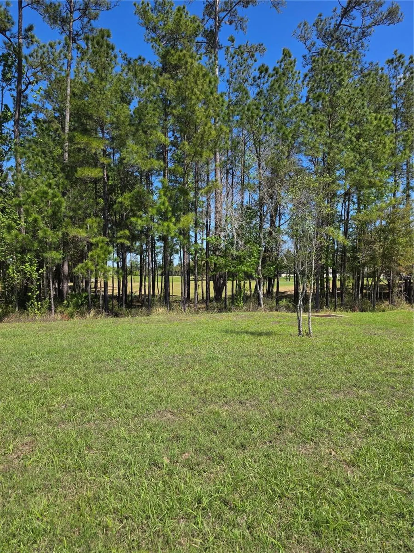 5058 Diantha Way Brooksville FL 34604