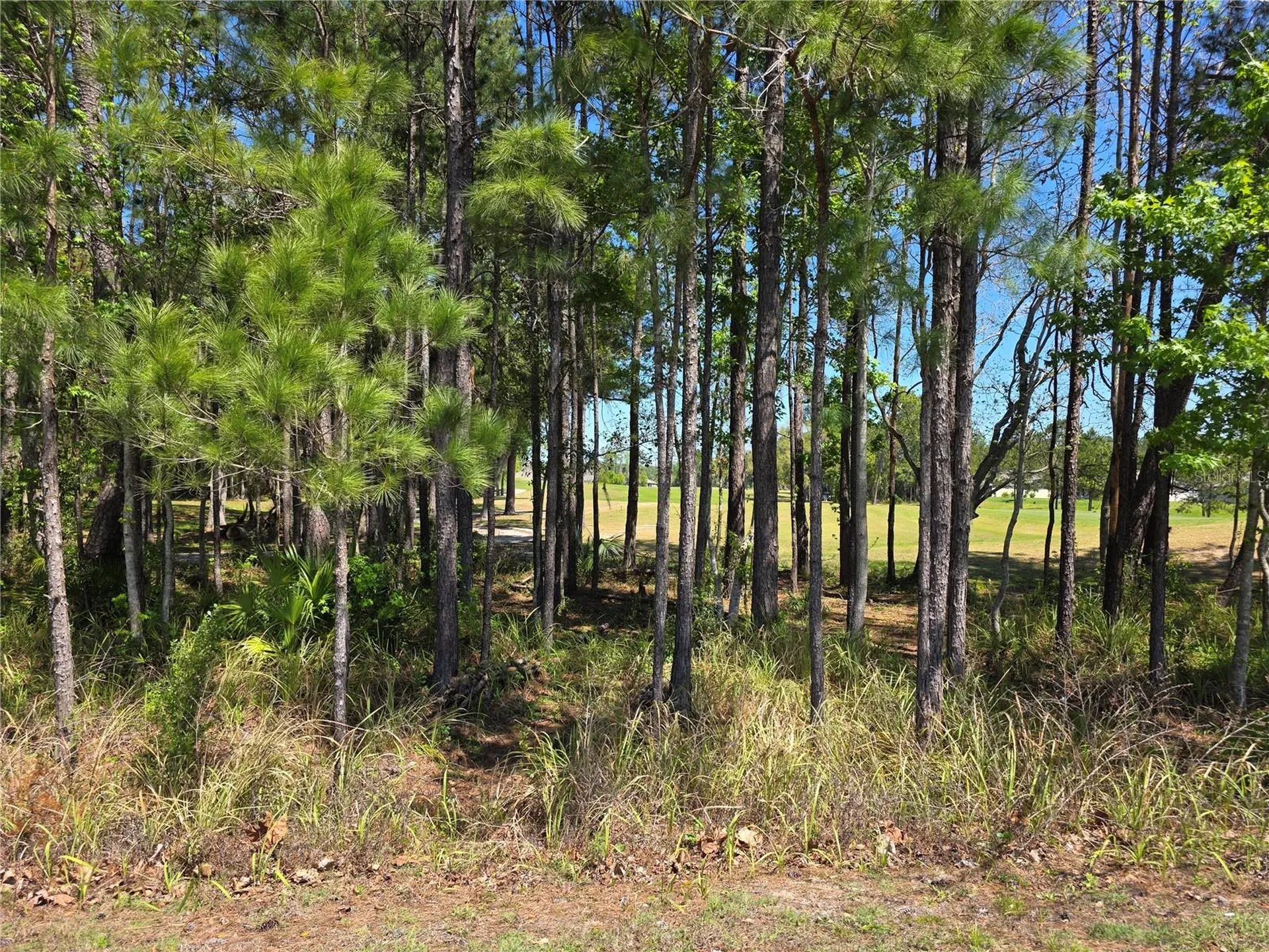 5058 Diantha Way Brooksville FL 34604