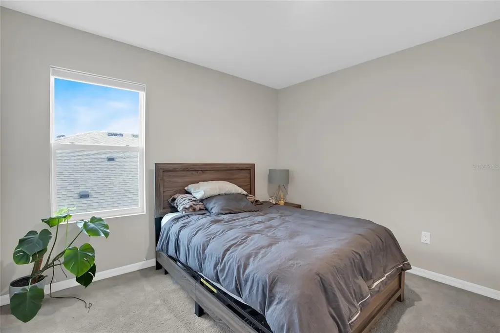 32265 Conchshell Sail Street Wesley Chapel FL 33545