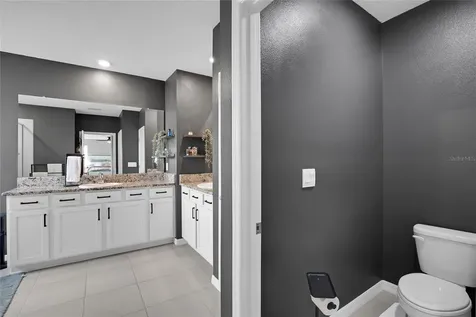 32265 Conchshell Sail Street Wesley Chapel FL 33545