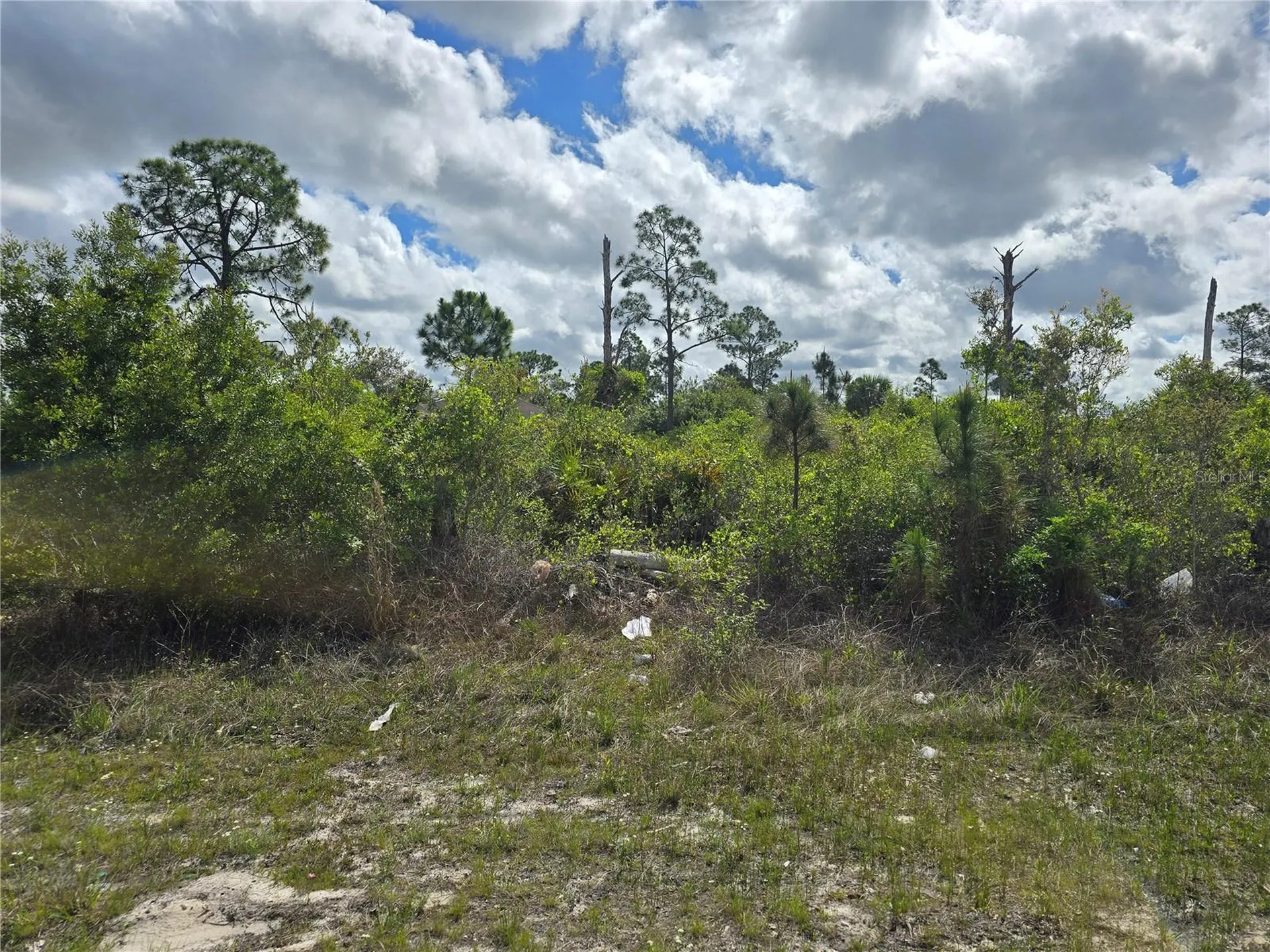 Lehigh Acres FL 33974