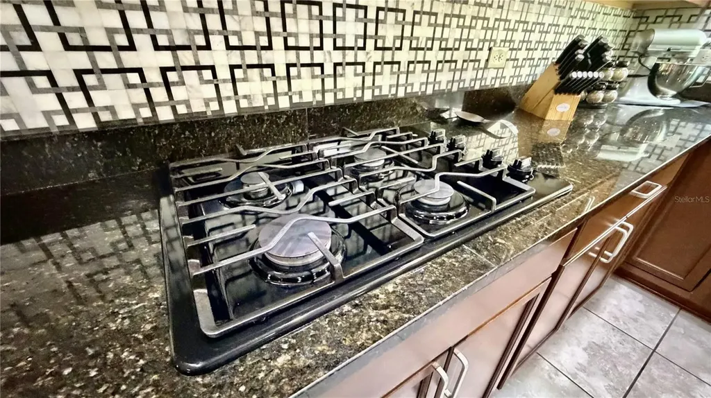 9160 Olmo Court Davenport FL 33897
