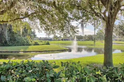 333 Ranchwood Drive Leesburg FL 34748