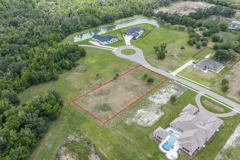 15322 Fishhawk Heights Run Lithia FL 33547