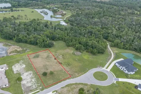 15322 Fishhawk Heights Run Lithia FL 33547