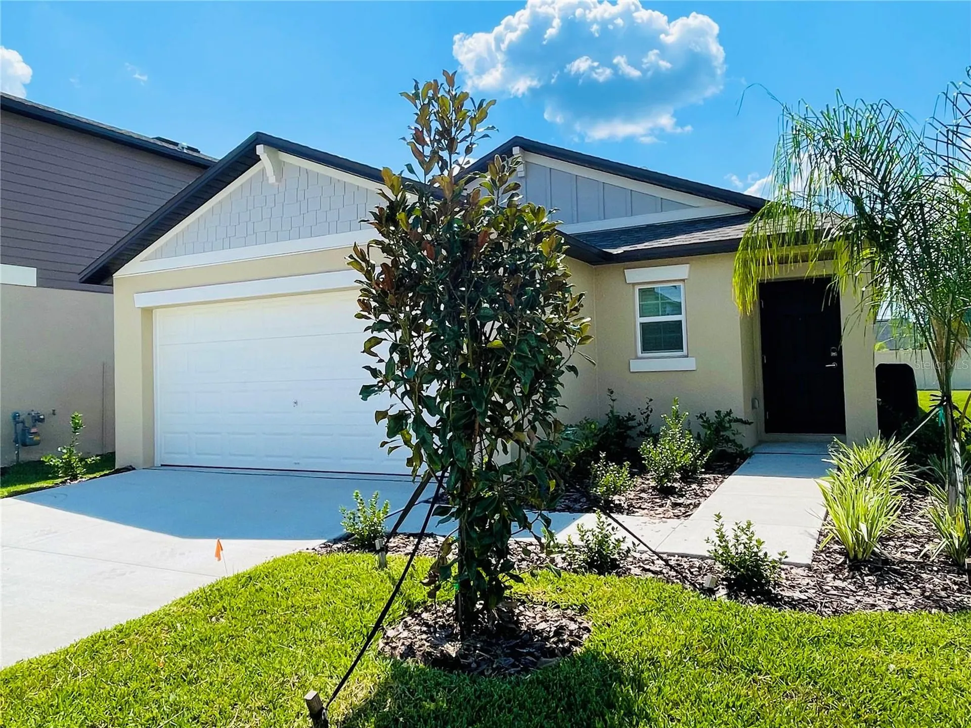 22238 Blazing Star Run Land O Lakes FL 34637