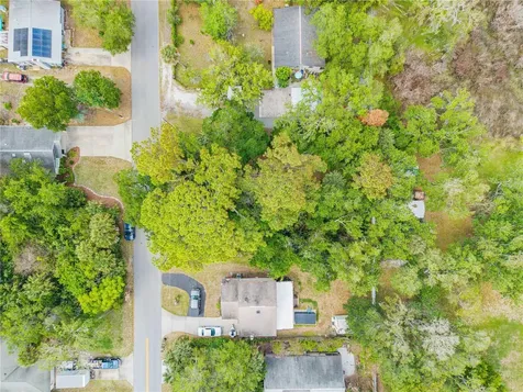 Brookline Avenue New Smyrna Beach FL 32168