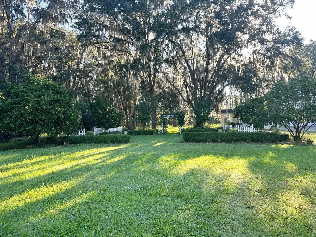 6425 NW 202nd Place Micanopy FL 32667