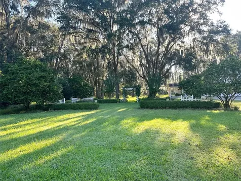 6425 NW 202nd Place Micanopy FL 32667