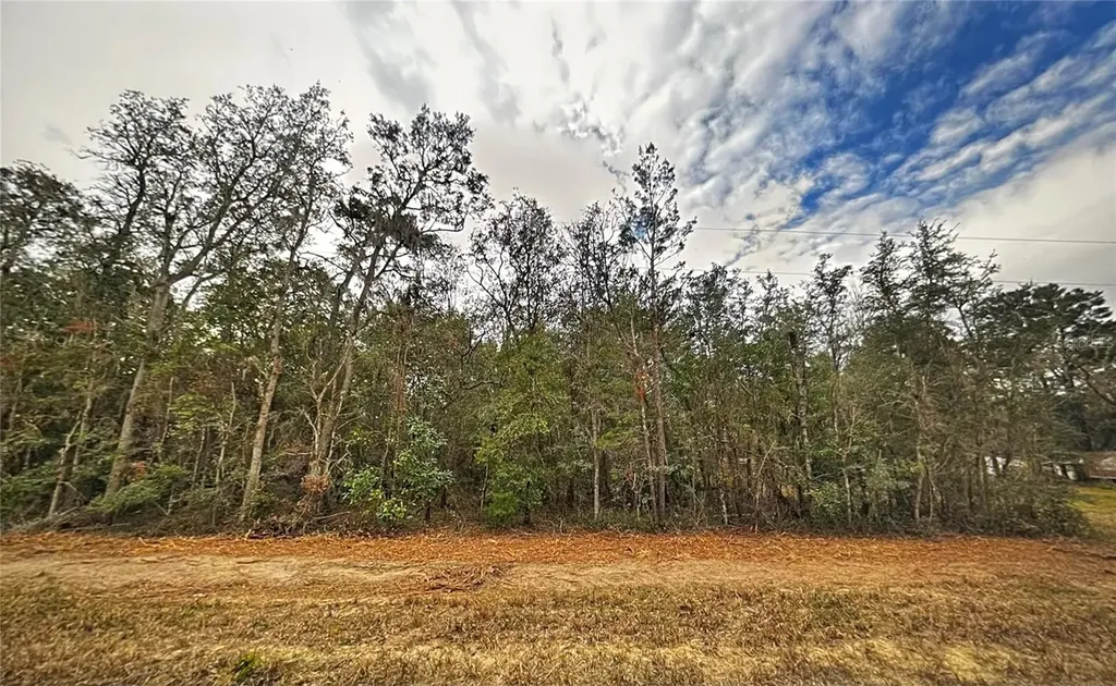 0 Usina Avenue Interlachen FL 32148