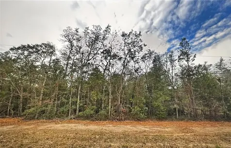 0 Usina Avenue Interlachen FL 32148
