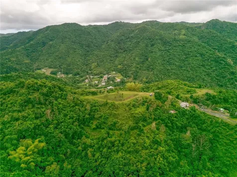 Interior Bo Maton Abajo Matón Abajo Cayey PR 00736