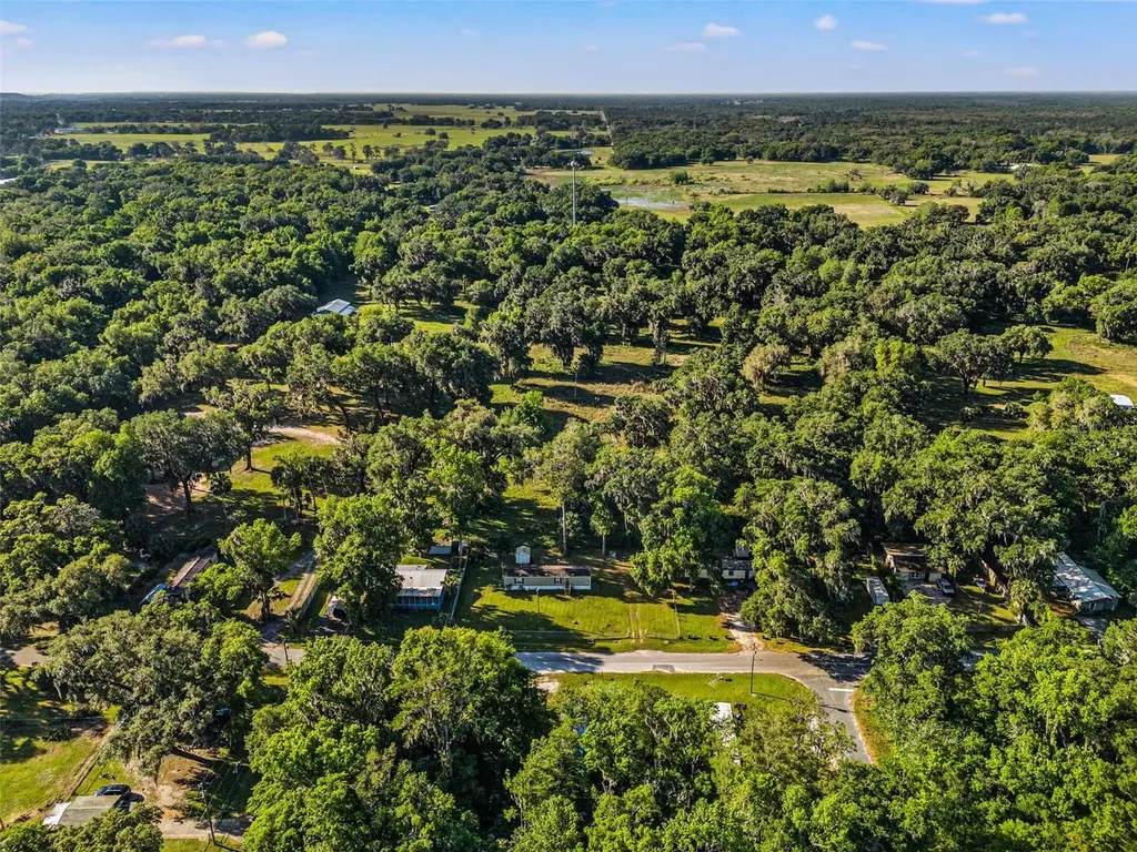 1940 Cr 428 Lake Panasoffkee FL 33538