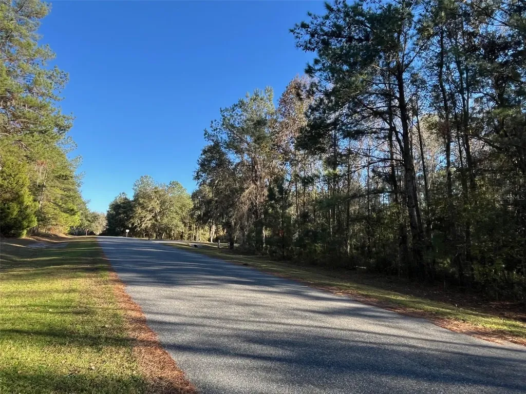 Tbd NW 148 Lane Williston FL 32696